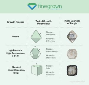 HPHT Diamond Process Explained: From Seed to Sparkle